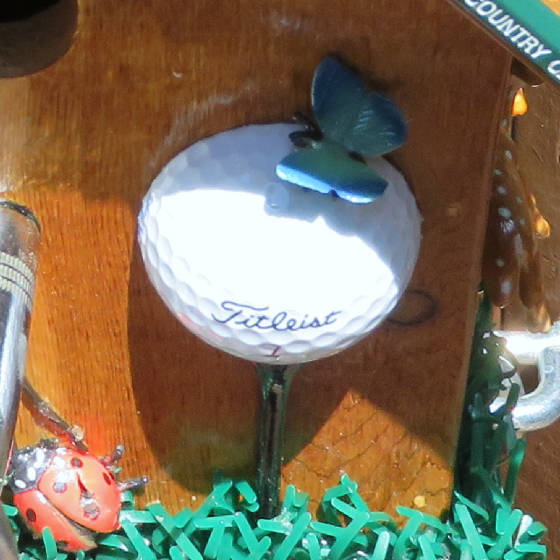 GolfThemes/2015golfGlorias.ball.JPG