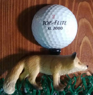 GolfThemes/FransBirdies.foxball.jpg