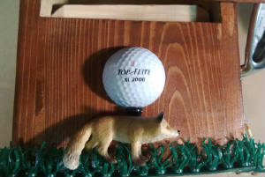 GolfThemes/FransBirdies.foxside.jpg