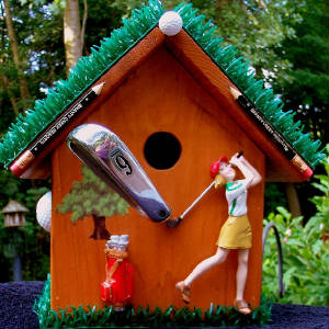GolfThemes/Golfinglady.f.jpg