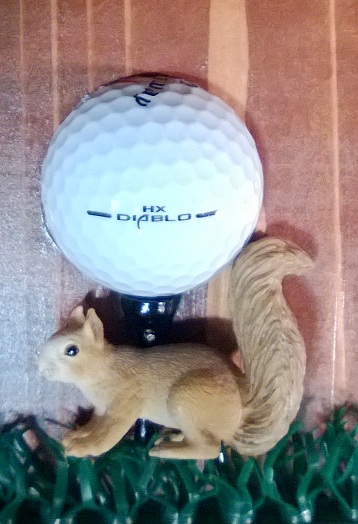 GolfThemes/FransBirdies.squirrel.ball.jpg