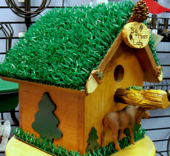 Hunting/MooseLodge.frt.rt.side.JPG