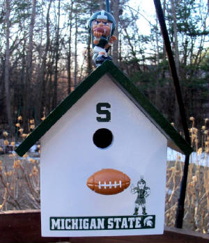 MSUThemes/MSULilPlayer3JPG.JPG
