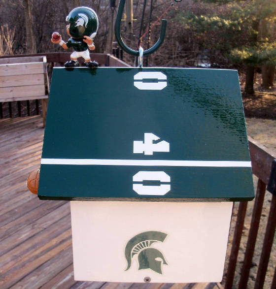 MSUThemes/MSULilPlayer6JPG.JPG